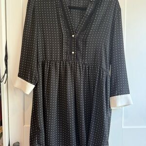 Zara Polka Dot Work Dress